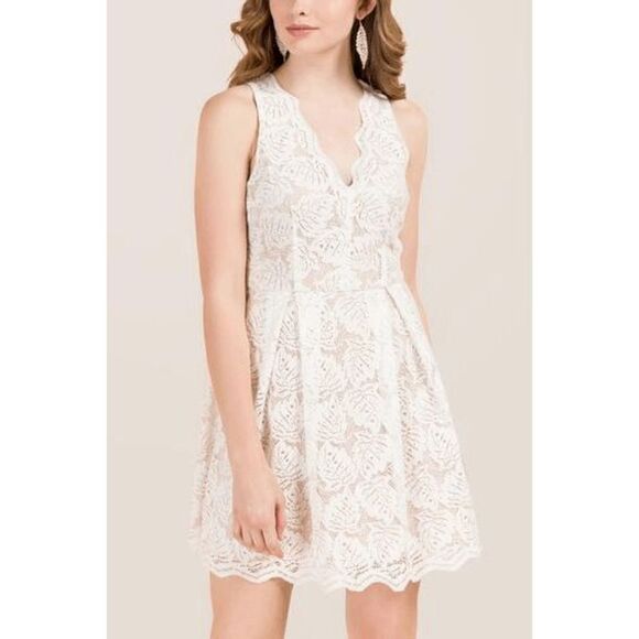Francesca's Louise Scallop V-Neck Palm Lace A-Line Dress Mini Dress - Picture 1 of 10